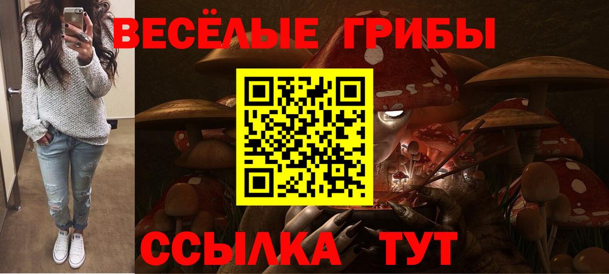 Псилоцибиновые грибы прущие грибы Верхний Уфалей