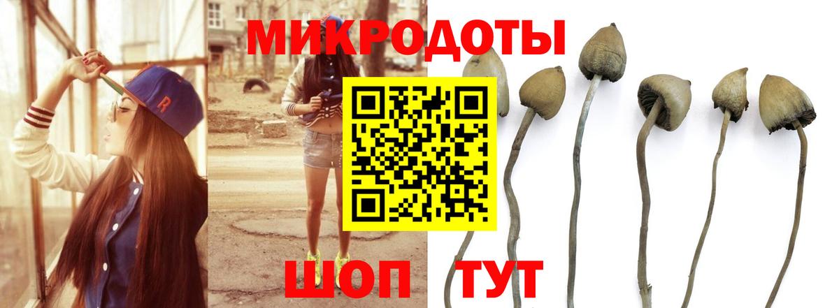 Псилоцибиновые грибы Magic Shrooms  Вход с VPN  Верхний Уфалей 